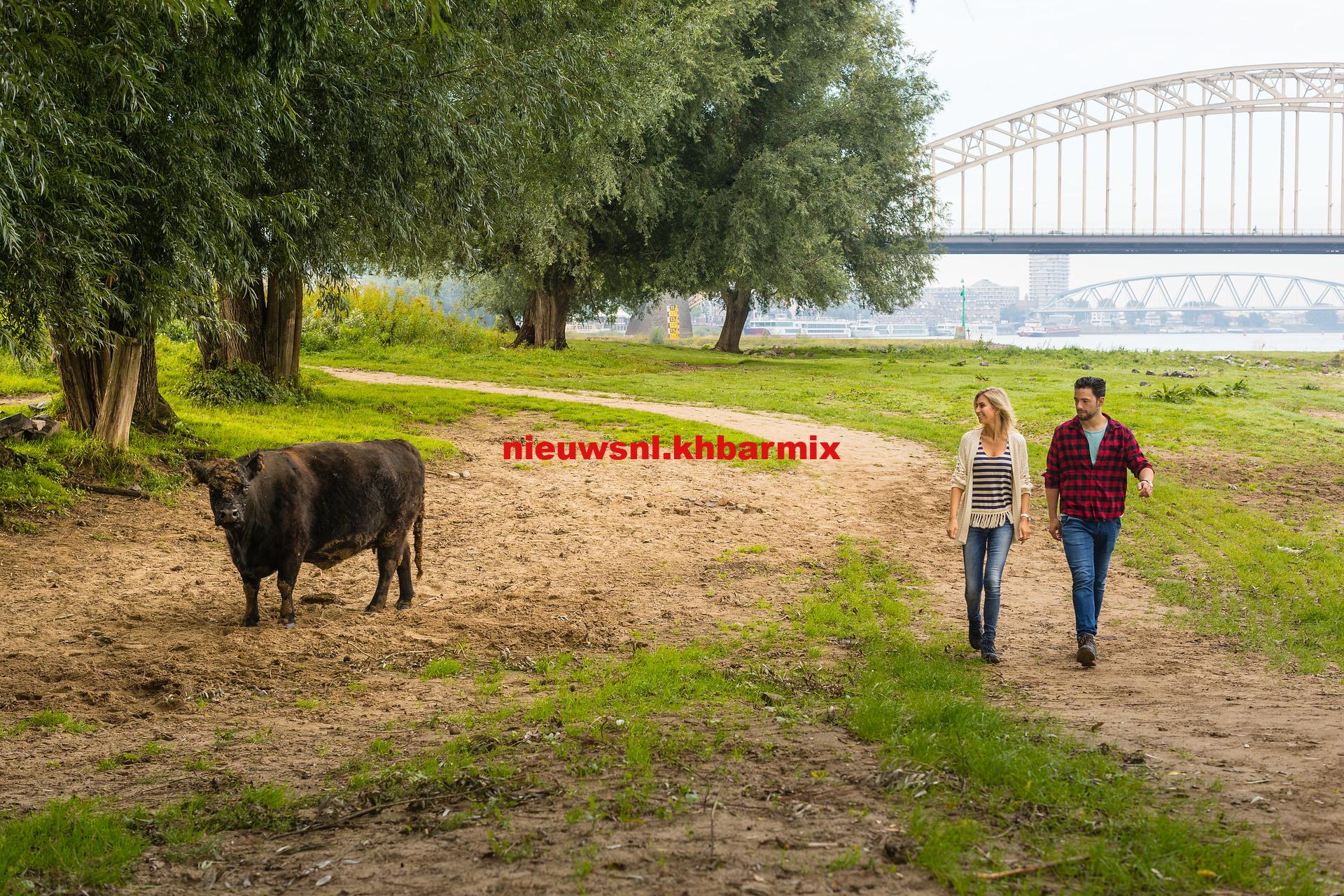 hoe heet het natuurgebied aan de waal bij nijmegen 9