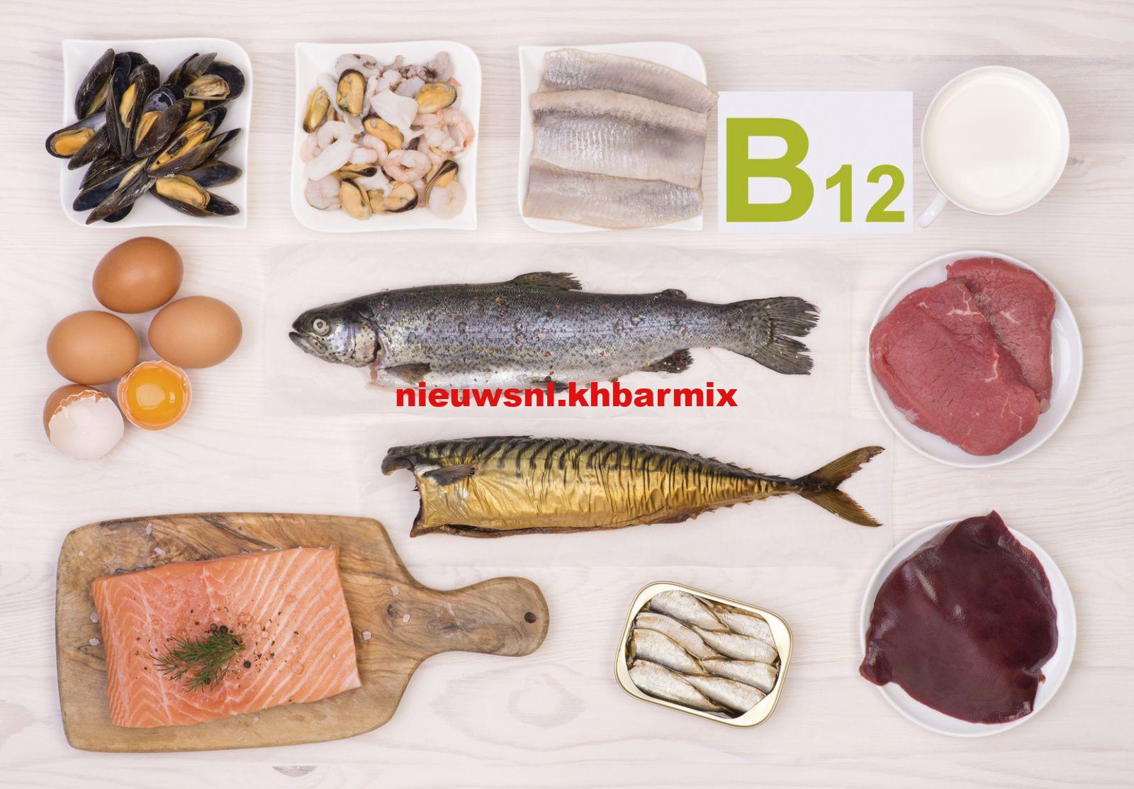 Waar zit vitamine B12 in
